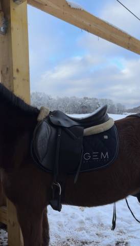 Sella mista Eric Thomas  17" - 2017