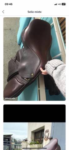 Sella mista  Elite 17" - 2015