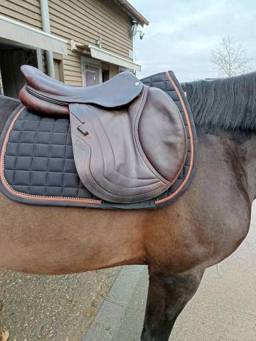 Sella da salto ostacoli CWD  17.5" - 2019