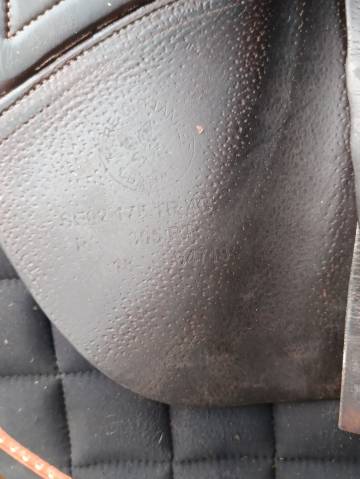 Sella da salto ostacoli CWD  17.5" - 2019