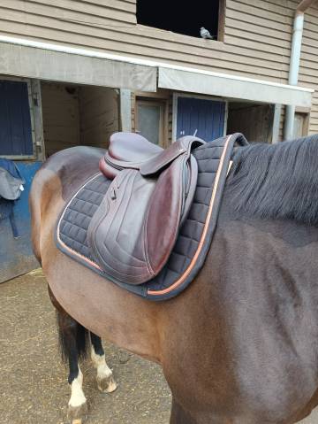 Sella da salto ostacoli CWD  17.5" - 2019