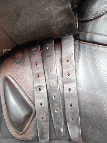 Sella da salto ostacoli CWD  17.5" - 2019