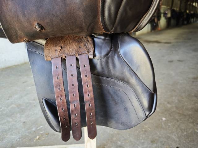 Sella da salto ostacoli  Amplitude exces 18" - 2018