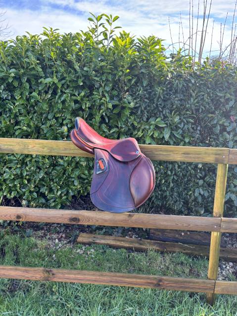 Sella da salto ostacoli CWD  17" - 2024