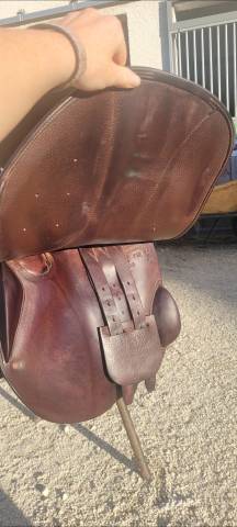 Sella mista Childeric  17" - 2016