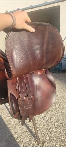 Sella mista Childeric  17" - 2016