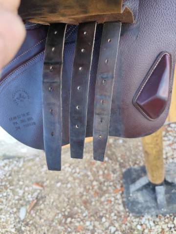 Sella da salto ostacoli CWD 2gs SE40 17.5" - 2024