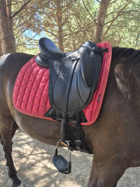 Sella da dressage Devoucoux  17.5" - 2024