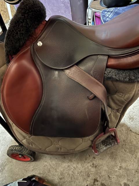 Sella da salto ostacoli CWD  17.5" - 2022