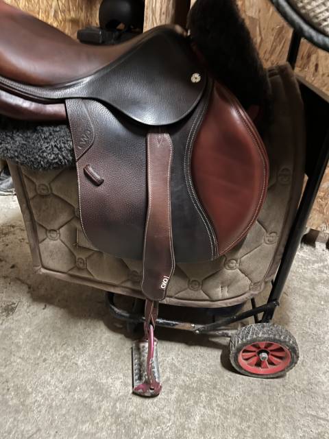 Sella da salto ostacoli CWD  17.5" - 2022