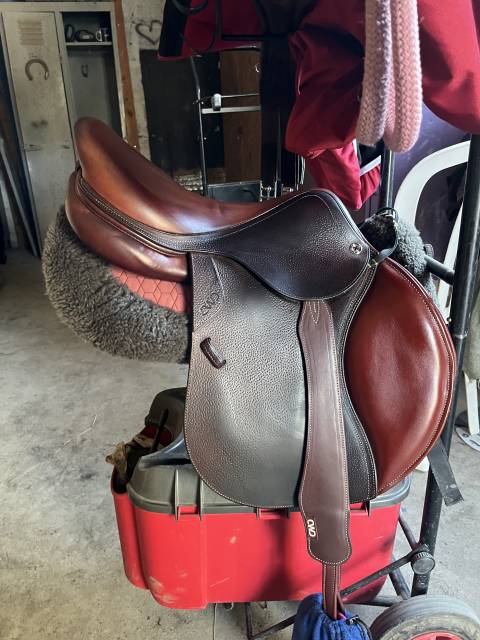 Sella da salto ostacoli CWD  17.5" - 2022