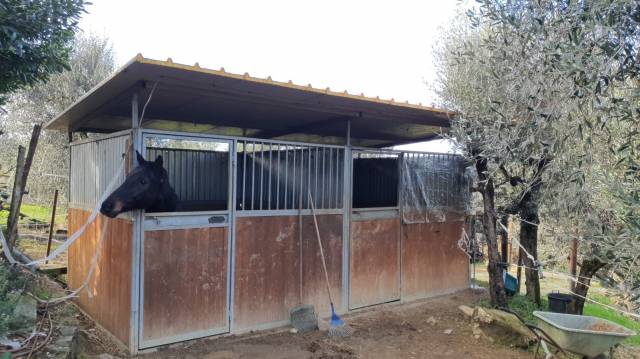 VENDO 2 BOX CAVLLI USATI