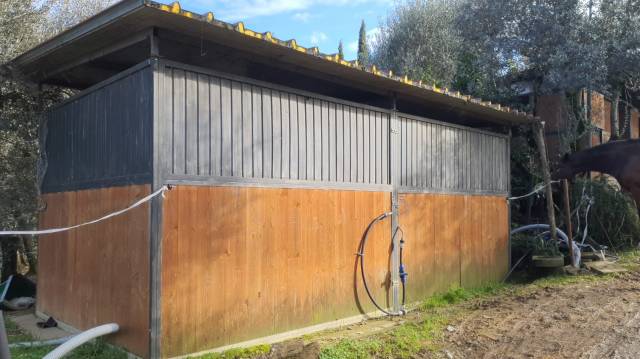 VENDO 2 BOX CAVLLI USATI