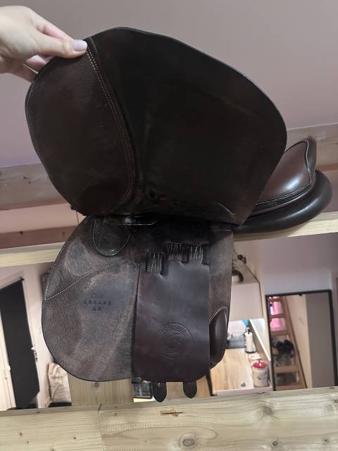 Sella mista Forestier Club 18" - 2019