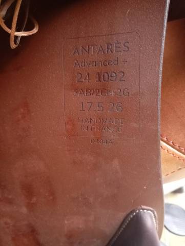 Sella da salto ostacoli Antar&egrave;s Advanced plus veau  17.5" - 2024