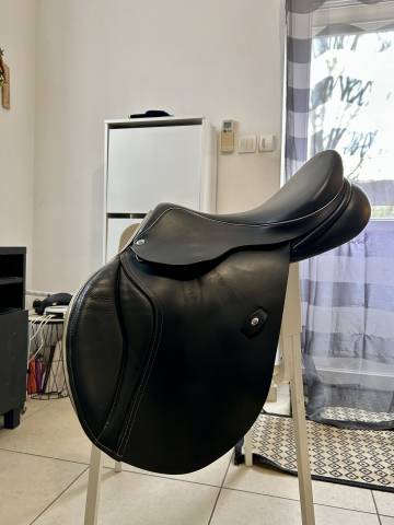 Sella da salto ostacoli  Ideal  17" - 2024