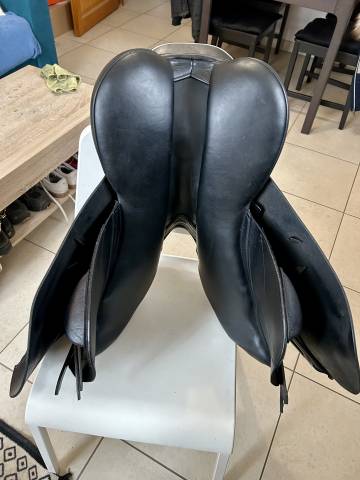 Sella da salto ostacoli  Ideal  17" - 2024