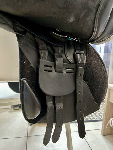 Sella da salto ostacoli  Ideal  17" - 2024