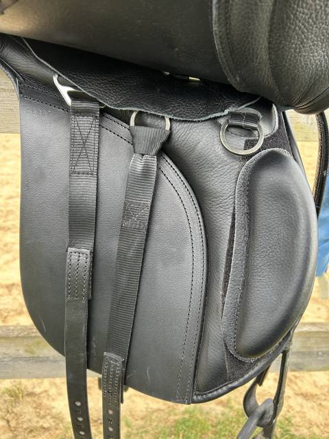 Sella mista KENT & MASTERS S series low wither GP 17" - 2024