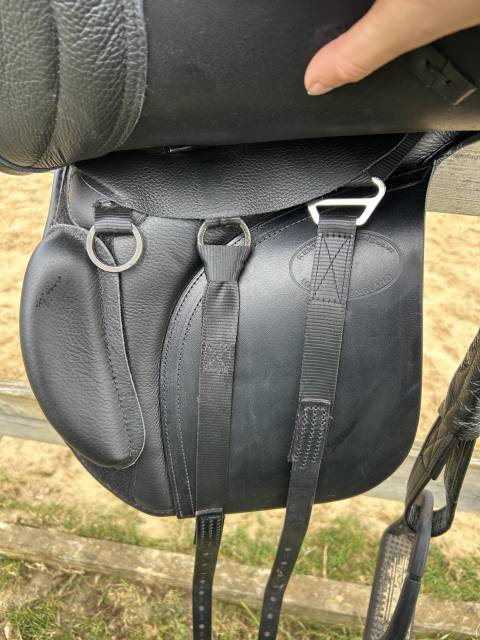 Sella mista KENT & MASTERS S series low wither GP 17" - 2024