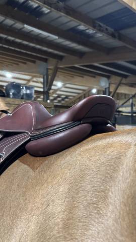 Sella da salto ostacoli CWD  17.5" - 2025