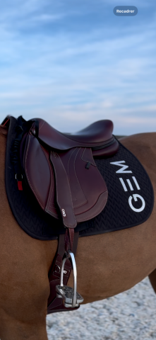 Sella da salto ostacoli CWD  17.5" - 2025