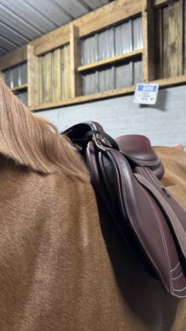 Sella da salto ostacoli CWD  17.5" - 2025