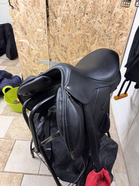 Sella da salto ostacoli Altair  17.5" - 2022