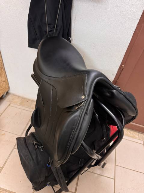 Sella da salto ostacoli Altair  17.5" - 2022