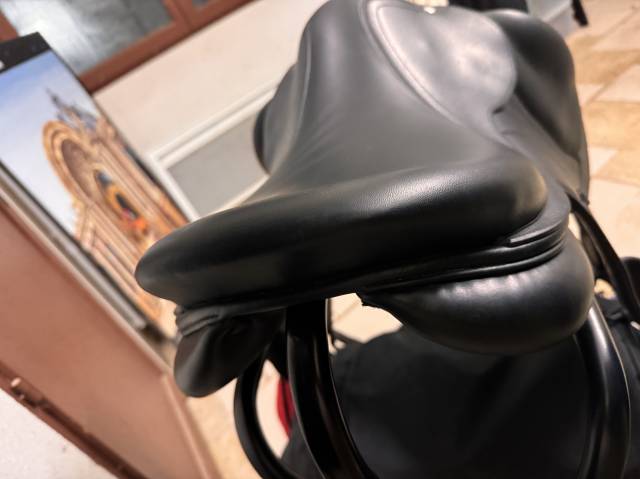 Sella da salto ostacoli Altair  17.5" - 2022