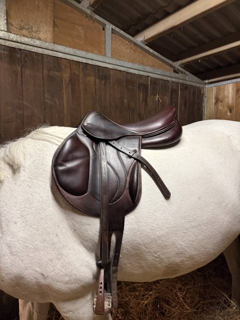 Sella da salto ostacoli Devoucoux Chiberta 17.5" - 2016