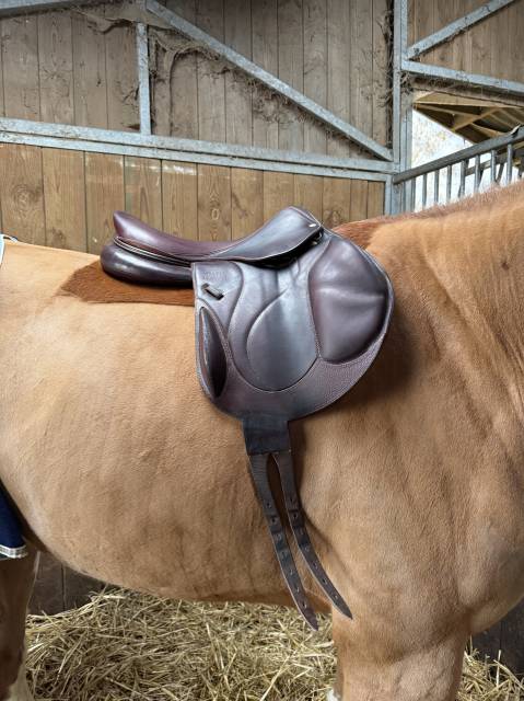 Sella da salto ostacoli Devoucoux Chiberta 17.5" - 2016