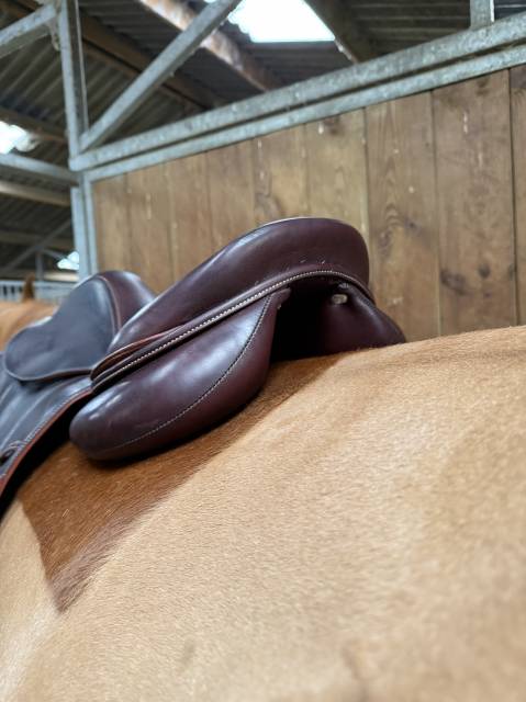 Sella da salto ostacoli Devoucoux Chiberta 17.5" - 2016