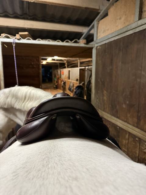 Sella da salto ostacoli Devoucoux Chiberta 17.5" - 2016