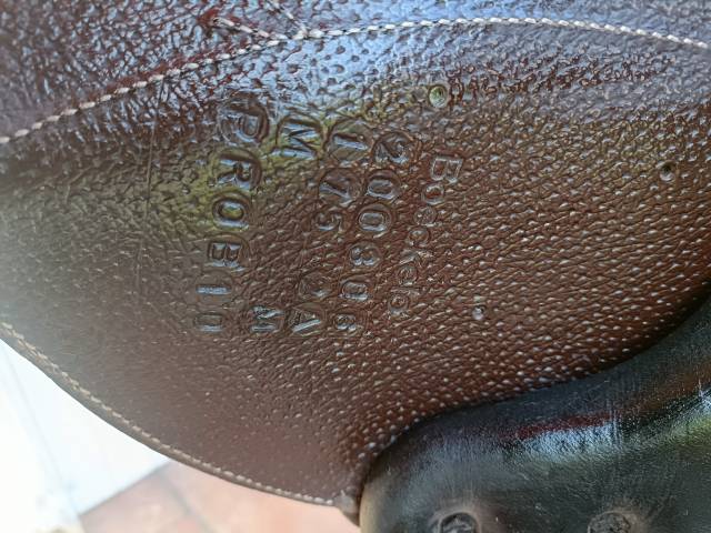 Altra sella Forestier  17.5" - 2020