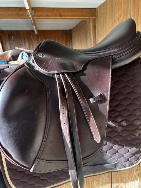 Sella da salto ostacoli Prestige Italia  17.5" - 2025