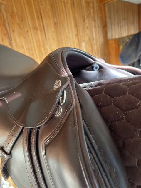 Sella da salto ostacoli Prestige Italia  17.5" - 2025