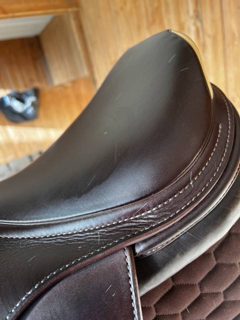 Sella da salto ostacoli Prestige Italia  17.5" - 2025