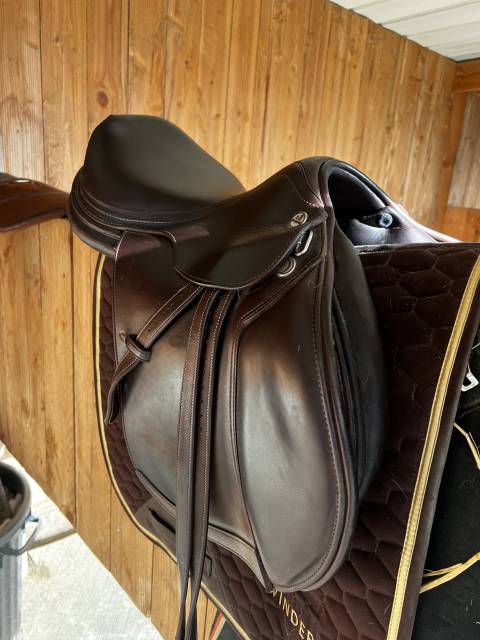 Sella da salto ostacoli Prestige Italia  17.5" - 2025