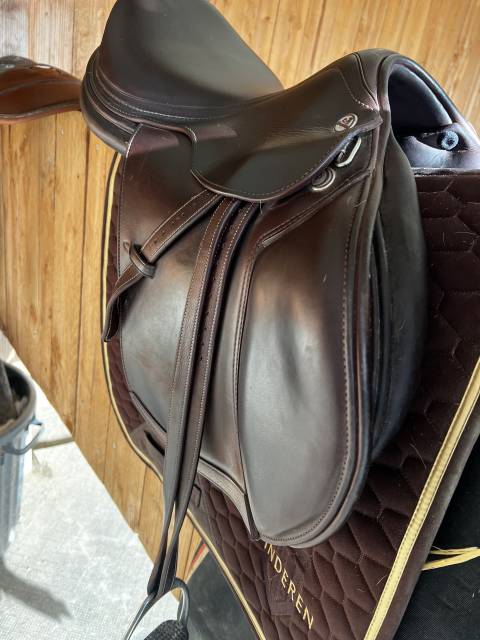 Sella da salto ostacoli Prestige Italia  17.5" - 2025