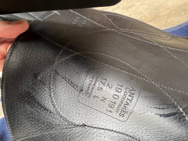 Sella da cross Antar&egrave;s  17.5" - 2019