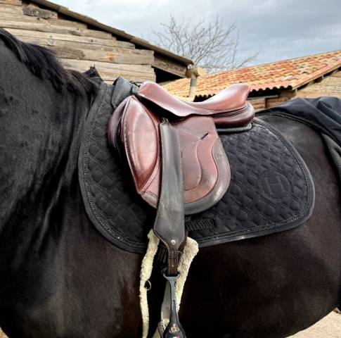 Sella mista Jump in  17.5" - 2018