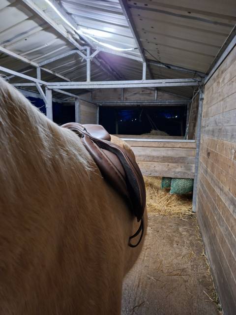 Sella mista Decathlon Romeo  17.5" - 2020