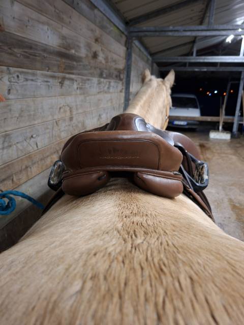 Sella mista Decathlon Romeo  17.5" - 2020