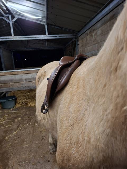 Sella mista Decathlon Romeo  17.5" - 2020