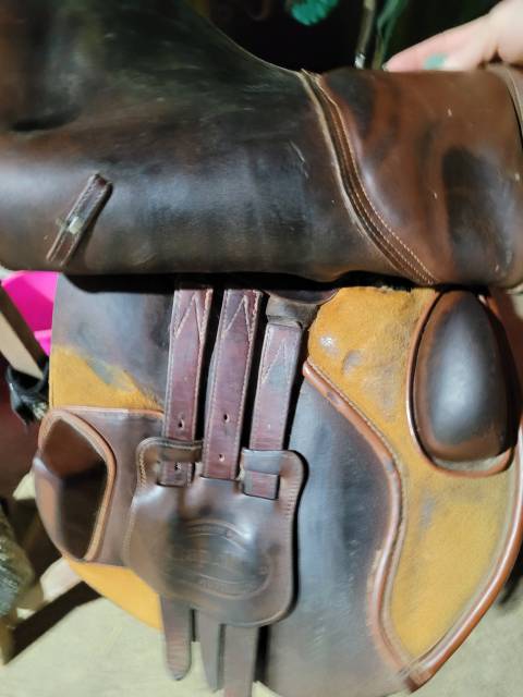 Sella da salto ostacoli Bates  17" - 2012