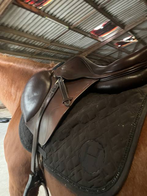 Sella da salto ostacoli Prestige Italia  17" - 2024