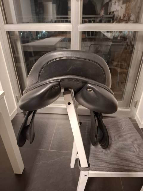 Winner Special Gavia 17"