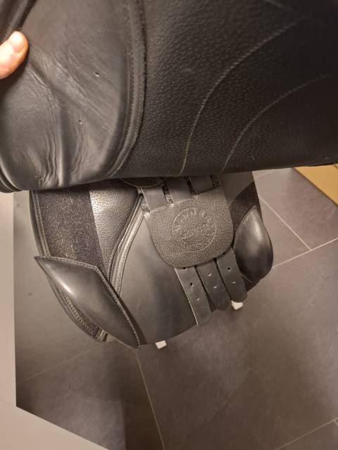 Winner Special Gavia 17"