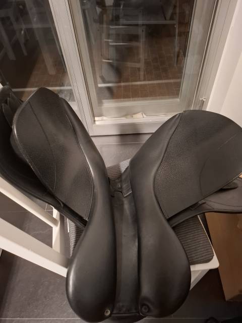 Winner Special Gavia 17"